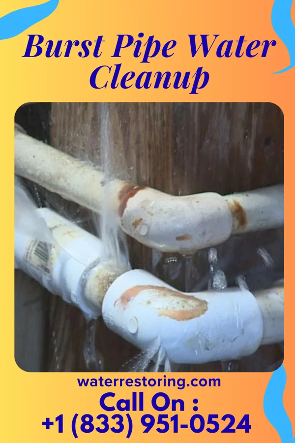 Burst Pipe Water Cleanup in Wortham, MO