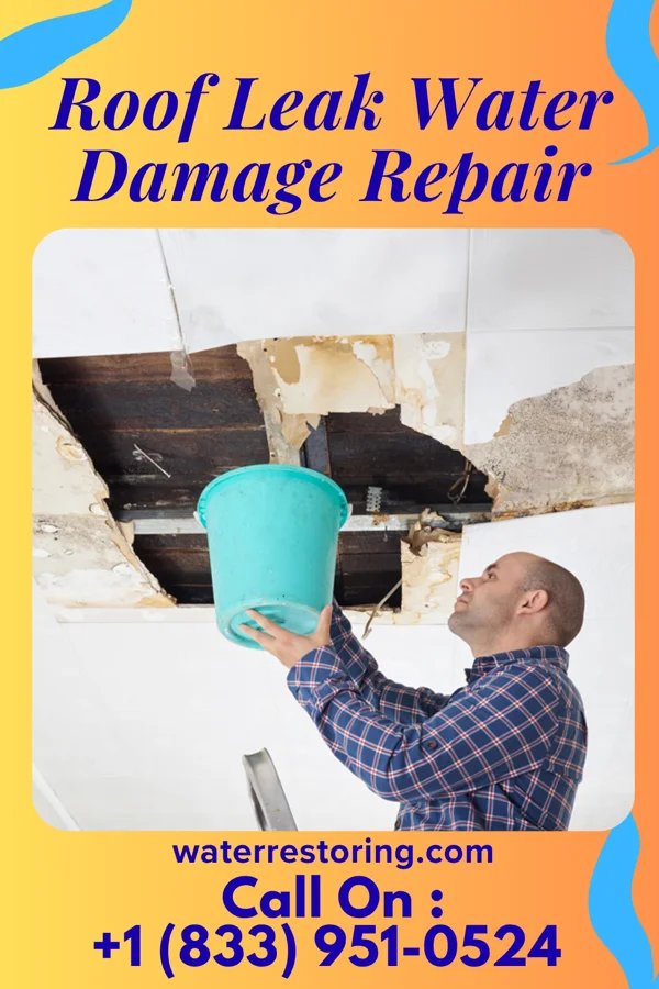 Roof Leak Water Damage Repair in Wortham, MO