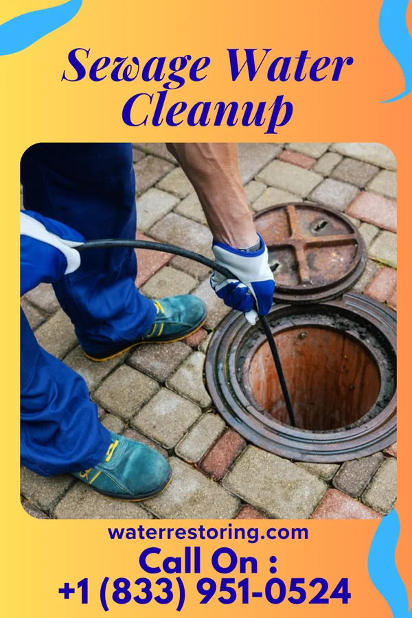 Sewage Water Cleanup in Wortham, MO